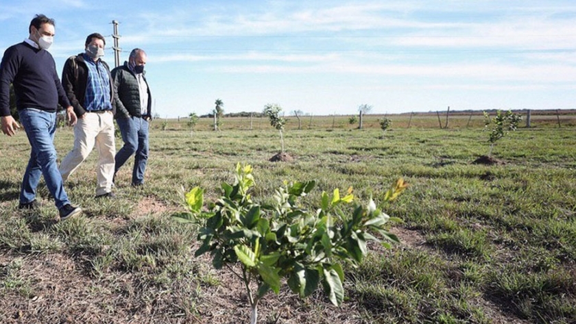 Plan Limón: el Gobernador supervisó el avance del programa en dos cuencas limoneras