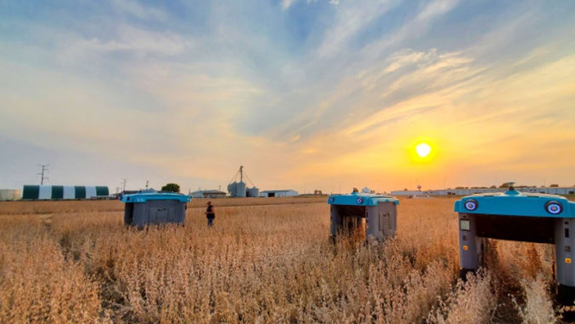 Probando buggies robóticos con paneles solares para inspeccionar cultivos agrícolas