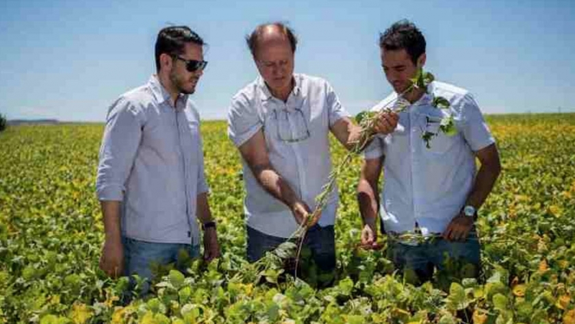 La Tecnología Y Los Transgénicos Generan Sustentabilidad En Granja ...