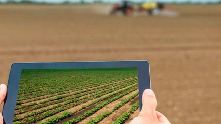 Nueva Zelanda: un país que lleva la innovación agrícola de las aulas a las huertas