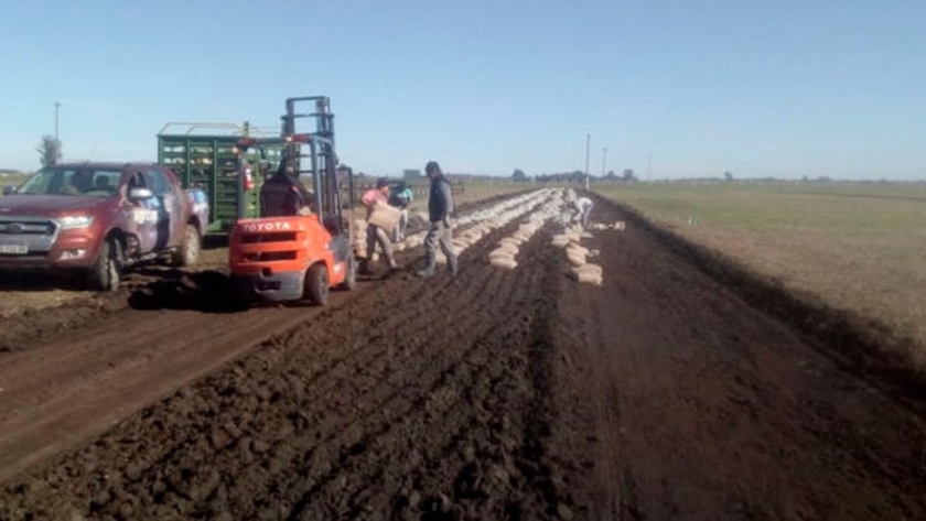 Caminos rurales sin barro, ni guadal: La tecnología llega al campo