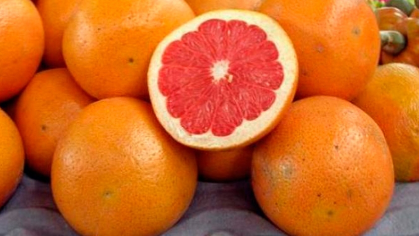 Formosa produce 15.000 tn de pomelo