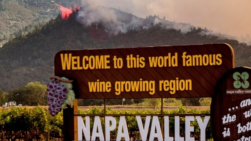 La producción de vinos de Napa Valley podría caer un 80% por los incendios de California