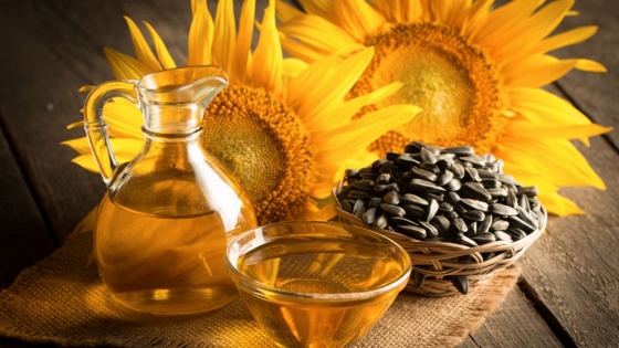 Argentina marca récord en molienda de girasol en 2025