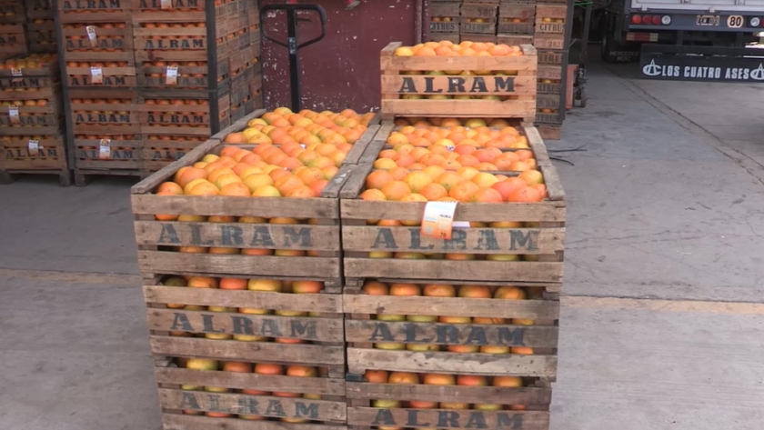 Ambiente impulsa la generación de energía renovable en el Mercado Frutihortícola de Escobar