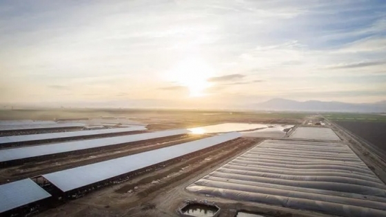 Una instalación centralizada de biogás que recibe estiércol de varios tambos: la revolución energética que florece en California