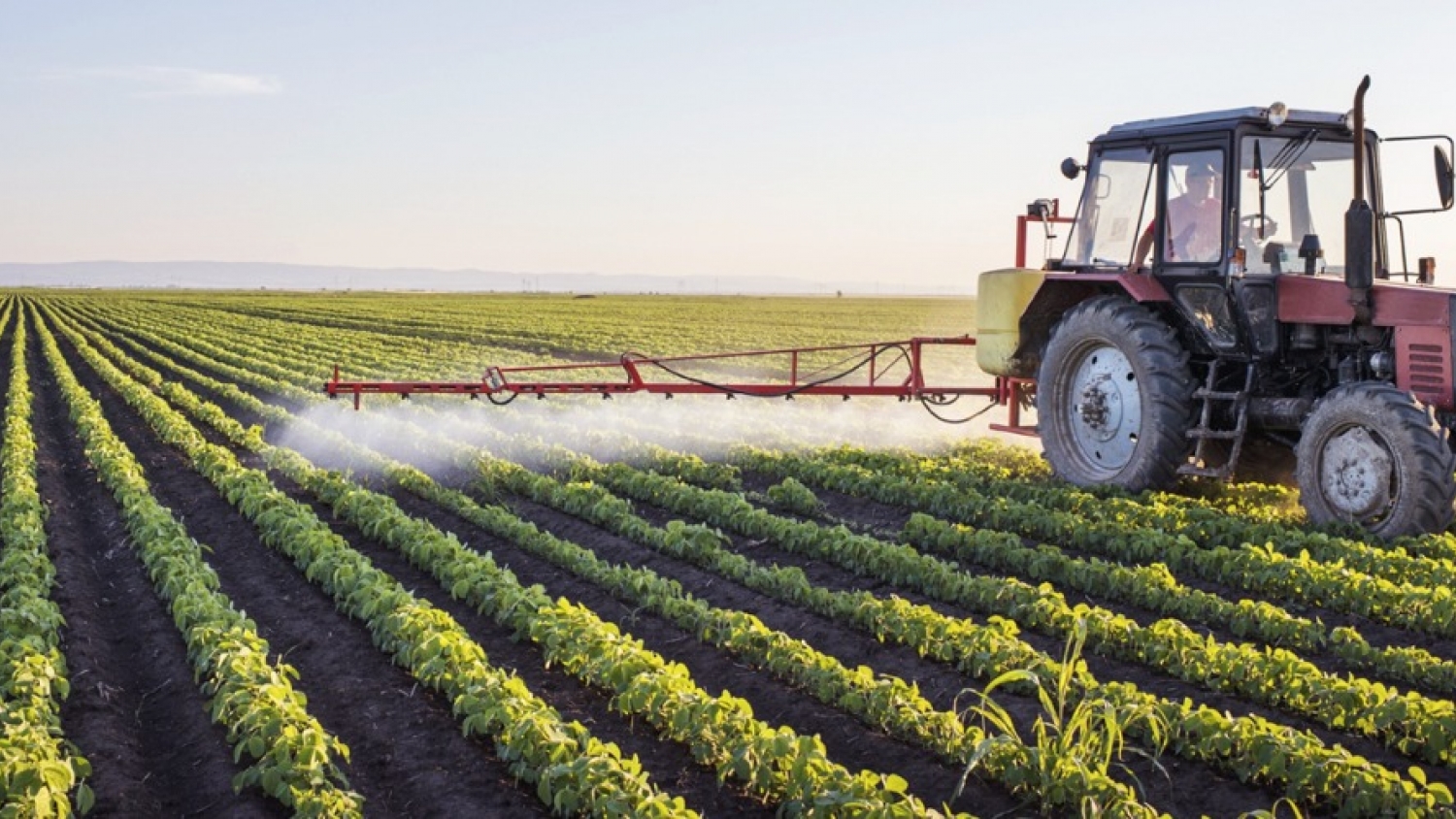 El agro explica seis de cada diez dólares que exporta Argentina y llega al 75% del mundo