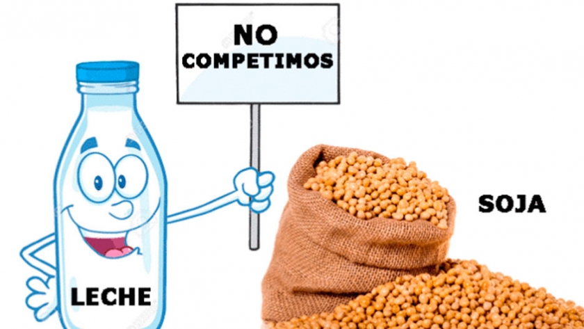 Dejar de ver la soja como competencia de la leche