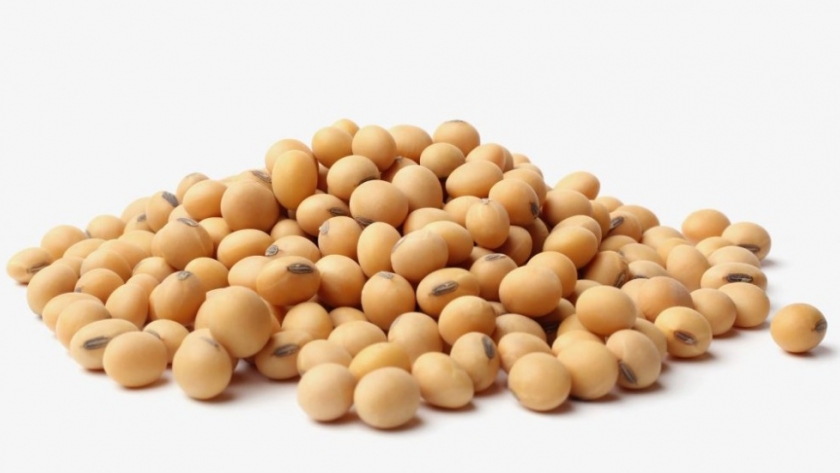 INTA desvela genoma completo de soja no GMO