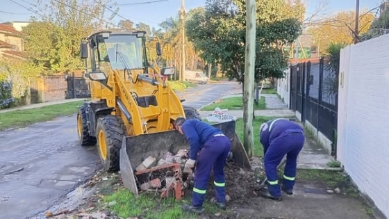 Recolección de Montículos: ¡Atención Vecinos! Cronograma Clave para una Ciudad Más Limpia