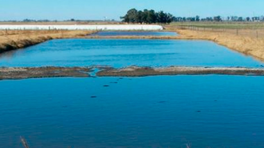 Sistema de tratamiento de efluentes en feedlot