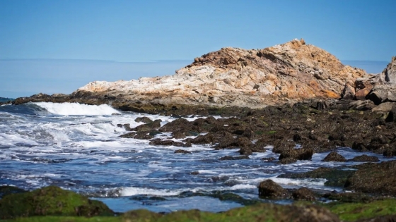 Patagonia Azul: el paisaje de Chubut que cambia dos veces