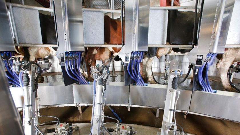 Aumenta la cantidad de tambos robot en el país