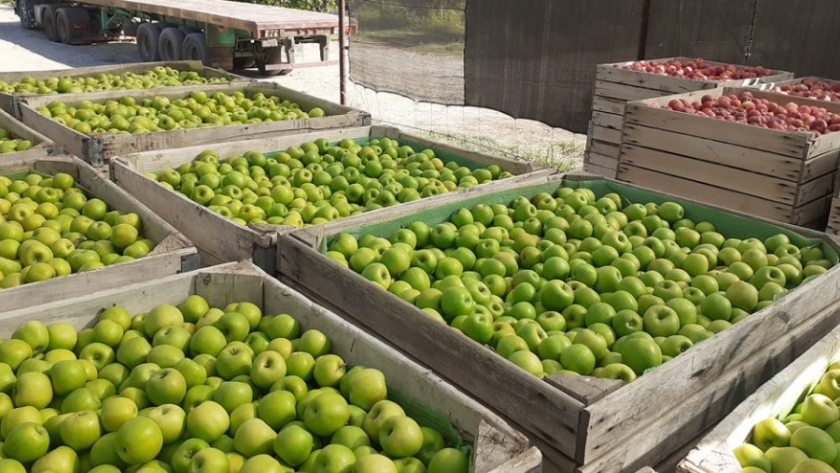 El gobierno provincial acompaña con distintas herramientas financieras al sector frutícola