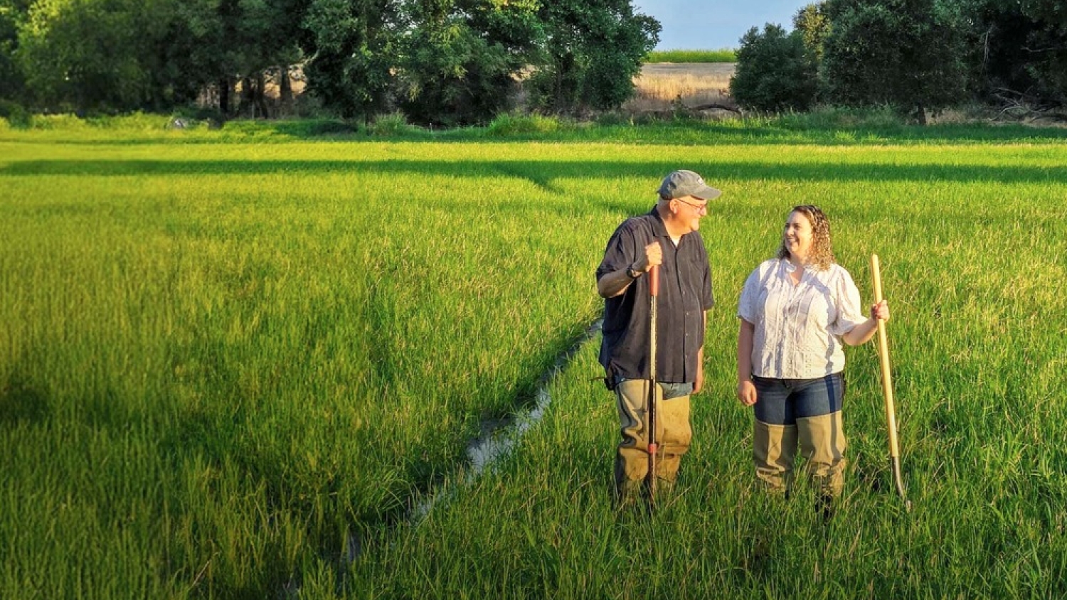 USDA’s $700 Million Regenerative Agriculture Pilot Draws Support—and Sharp Warnings—from Across the Food System