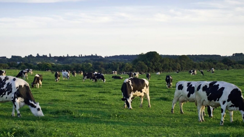 Eco no es una etiqueta, es una manera de hacer leche