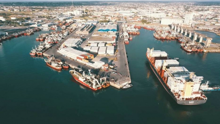 Buscan diversificar las cargas del Puerto Mar del Plata y aumentar su potencialidad