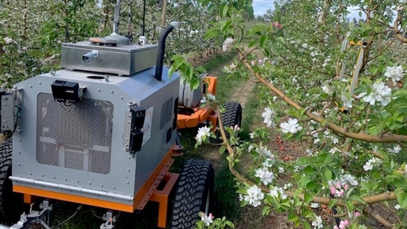 Una empresa australiana diseñó un robot que escanea los árboles frutales