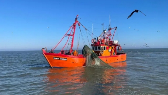 Temporada de Corvina Rubia: Mejoran tallas en temporada dispar