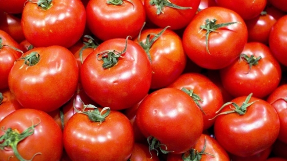 De la química a la naturaleza: la nueva forma de producir tomates