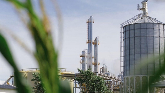 El Gobierno fijó un aumento del precio para el bioetanol