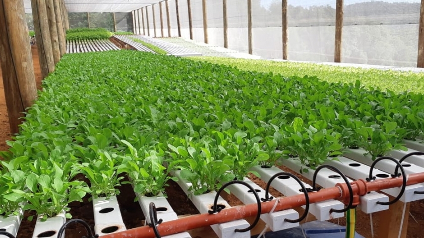 Ya están disponibles dos líneas de crédito para productores agropecuarios