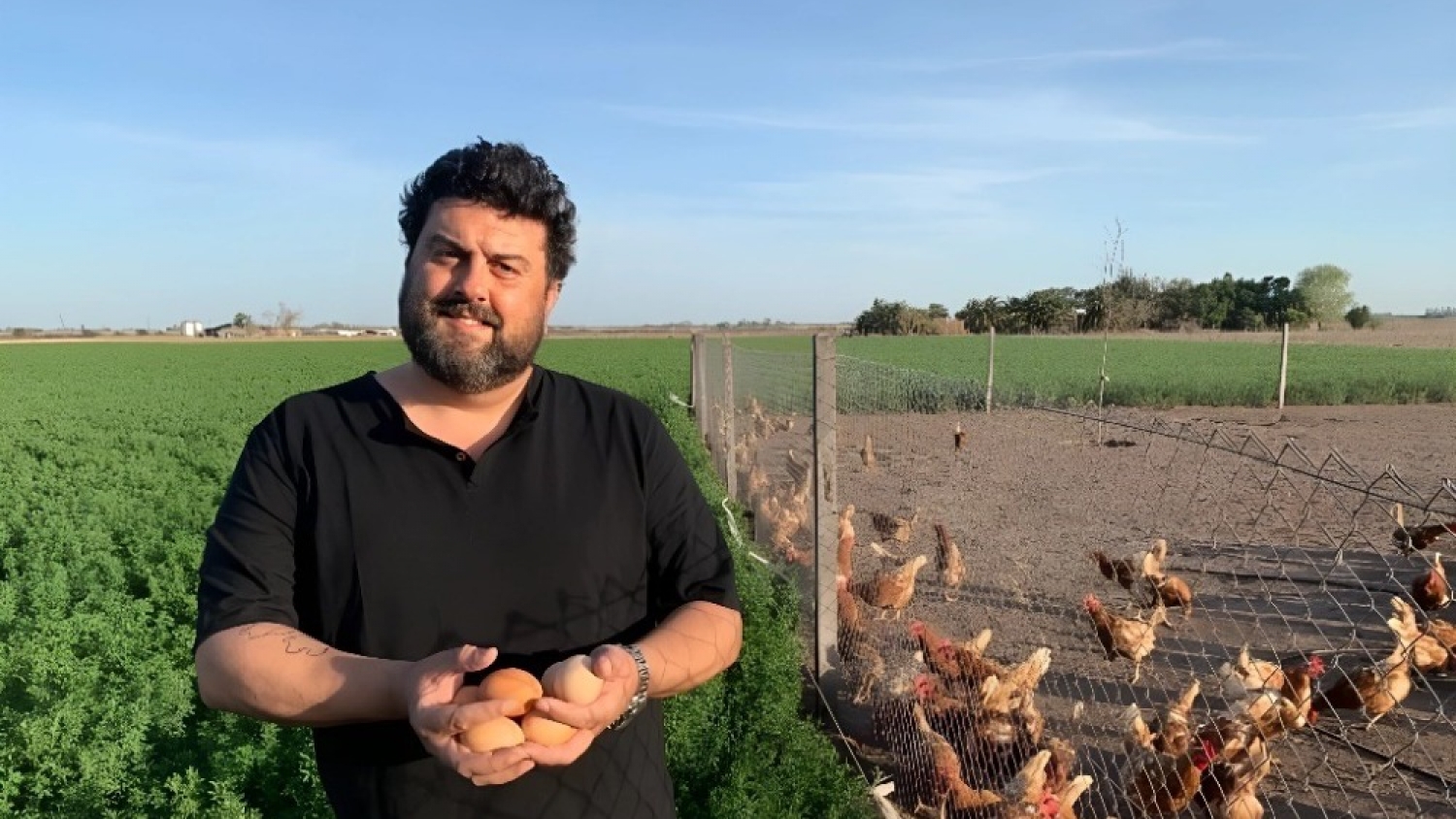 El productor santafesino que impulsó el protocolo para gallinas libres de jaula y revoluciona la avicultura argentina