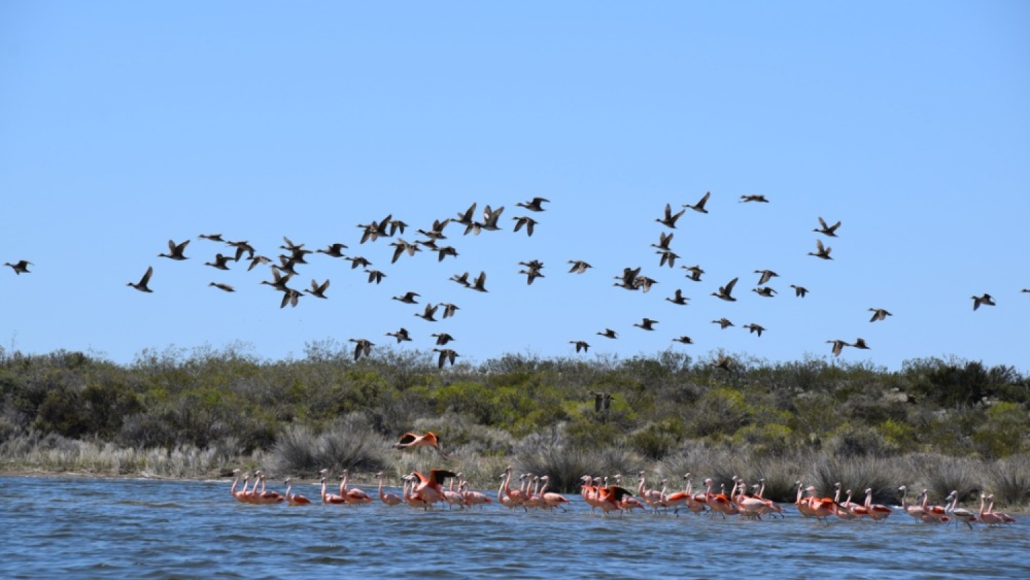 Valcheta, el pueblo rionegrino donde la Patagonia conserva su pulso original