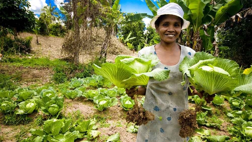 Consenso sobre los agroalimentos