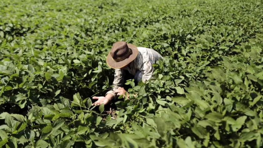 ADM lanza un programa de Apoyo a la Agricultura Sustentable en Brasil