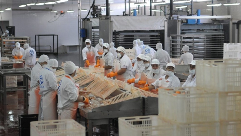 La actividad del sector pesquero y agropecuario apuntaló la mejora de los indicadores de la economía