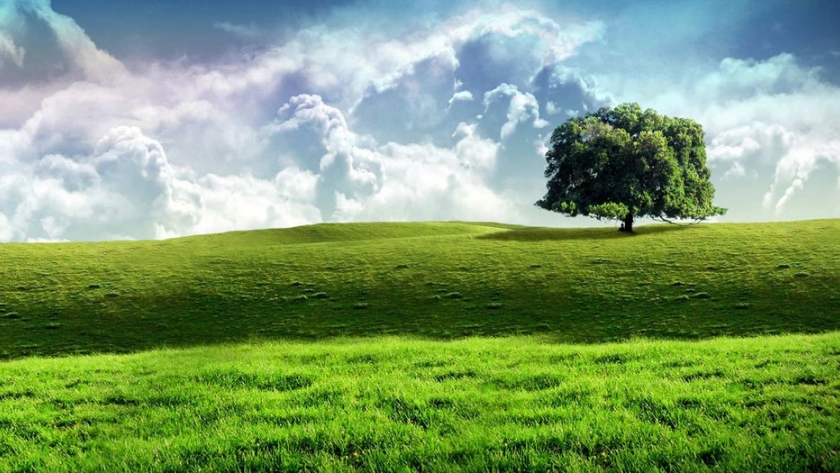 Extensión de plazos para el Concurso Documental Fotográfico Ambiental
