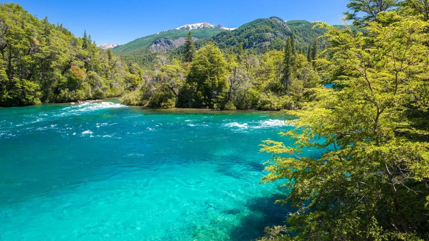 Parque Los Alerces: cómo visitar el árbol más viejo de Argentina