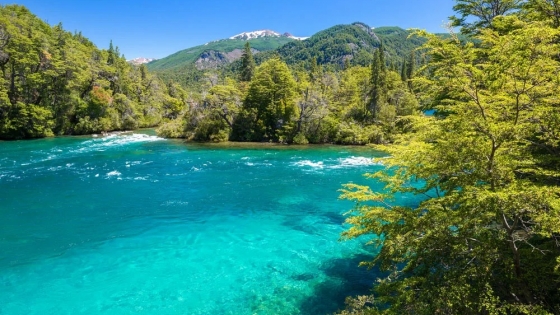 Parque Los Alerces: cómo visitar el árbol más viejo de Argentina