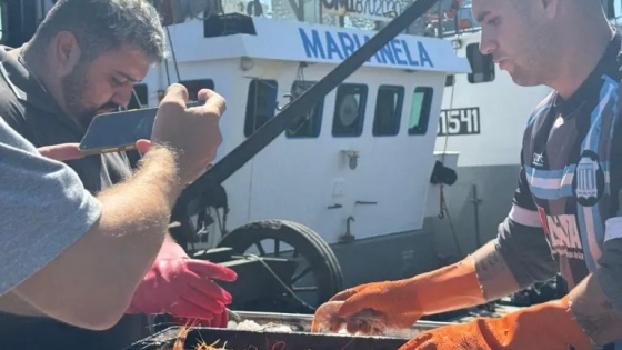 Aparece langostino incidental de excelente calidad comercial en la pesca objetivo de merluza fuera de la ZVPJM