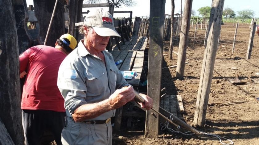 Se realizó capacitación de "Meteorismo Espumoso o Empaste en Rodeos Lecheros"