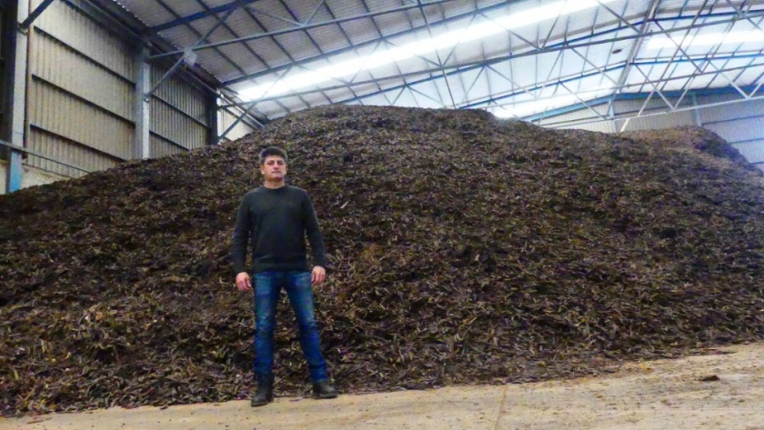 De pienso para animales a sirope, la transformación de la algarroba de la mano de una empresa de Cartagena