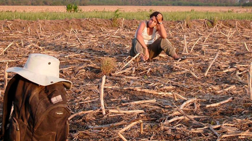 Agricultura en México caerá 20% por cambio climático en los próximos años
