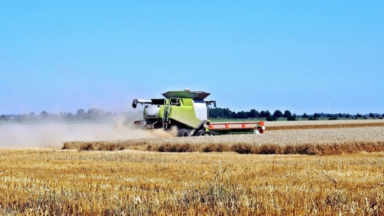 La poscosecha en el agro: el nuevo eje estratégico para reducir pérdidas y aumentar rentabilidad