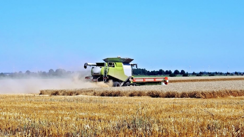 La poscosecha en el agro: el nuevo eje estratégico para reducir pérdidas y aumentar rentabilidad