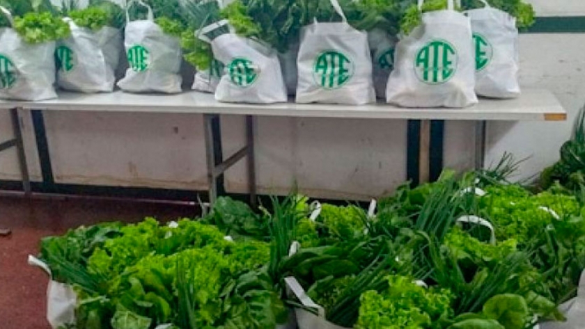 Exitosa comercialización de agroalimentos en Corrientes