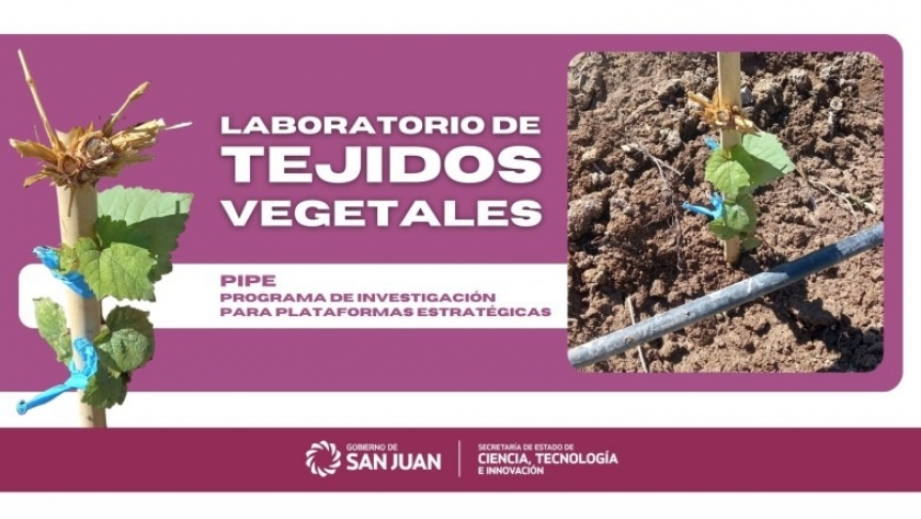 En qué consiste el proyecto que lleva adelante el Instituto Hortícola Semillero apoyado por SECITI