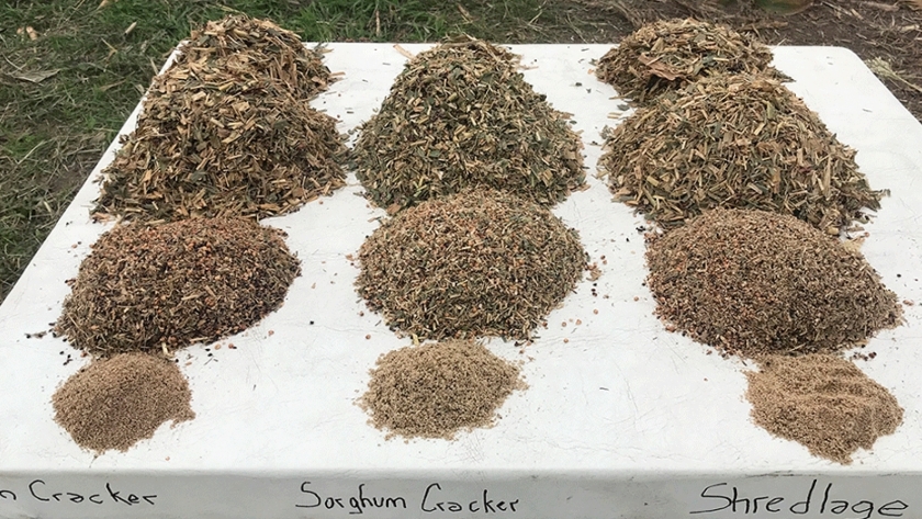 Presentaron el primer sorgo doble propósito igrowthth del mundo