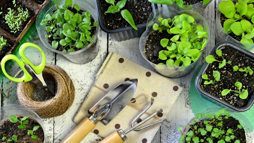 "Principios básicos de la huerta en casa" es el tema del segundo conversatorio del ciclo "Otras experiencias"