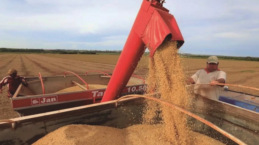 La crisis del campo argentino: el peso del Estado sobre la producción agrícola