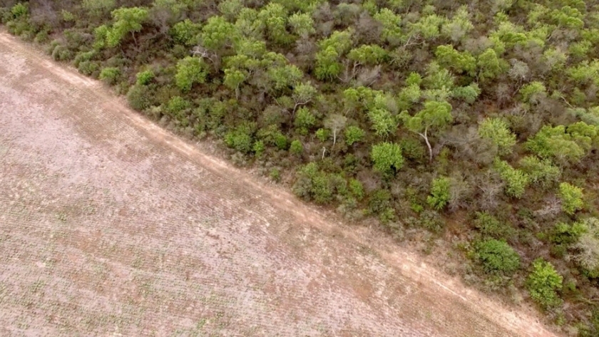 El Ministerio de Ambiente alerta sobre el aumento de la deforestación
