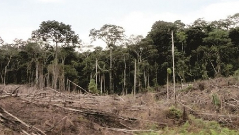 Lanzan agenda boliviana ante la crisis climática en nueva década