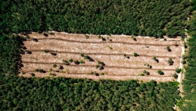 La agricultura explica más del 90% de la deforestación tropical
