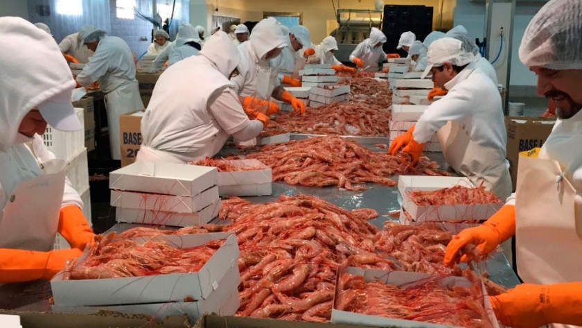 China se reafirma como el principal destino de las exportaciones pesqueras argentinas