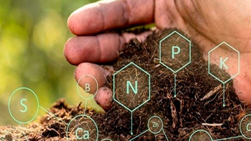 A favor de la Ecología